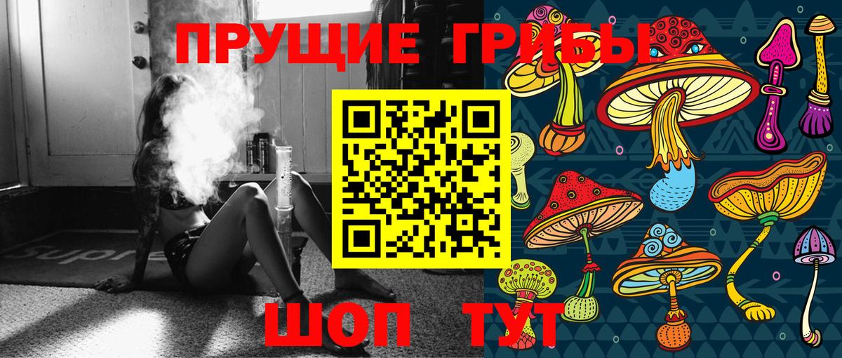 Псилоцибиновые грибы GOLDEN TEACHER Малоярославец