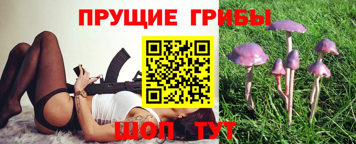 Малоярославец  Псилоцибиновые грибы прущие грибы  Вход с VPN 